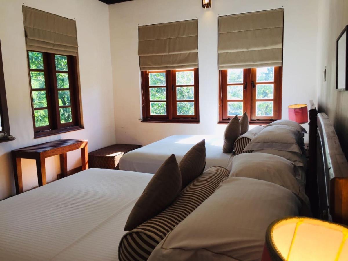 Tea Cottage Resort & Spa Nawalapitiya Ngoại thất bức ảnh